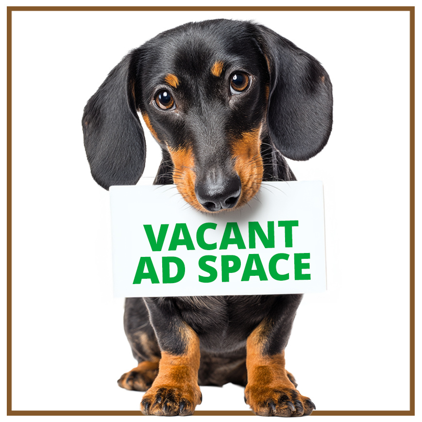 ads 1