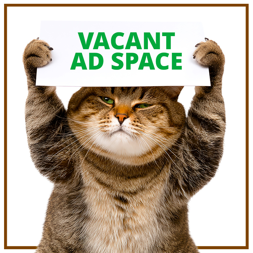 ads 2