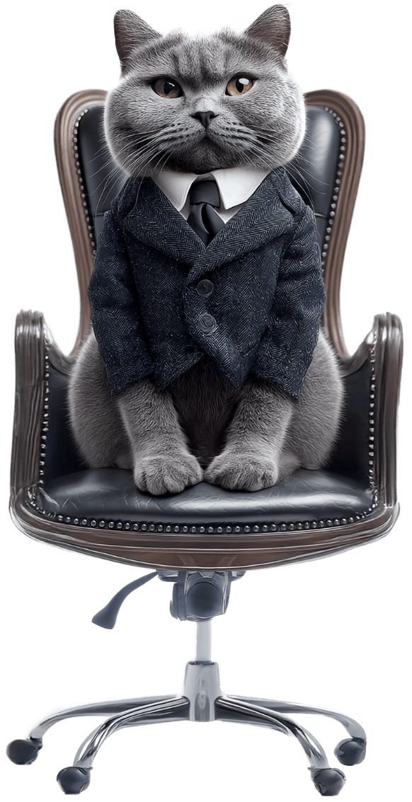 ceo