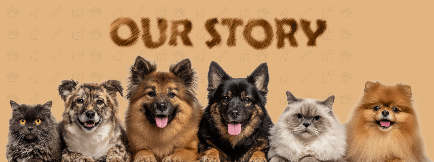 our story