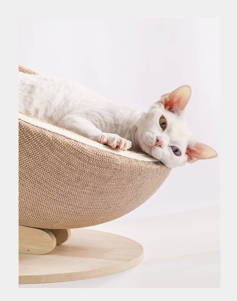 Egg shell Cat Scratching nest
