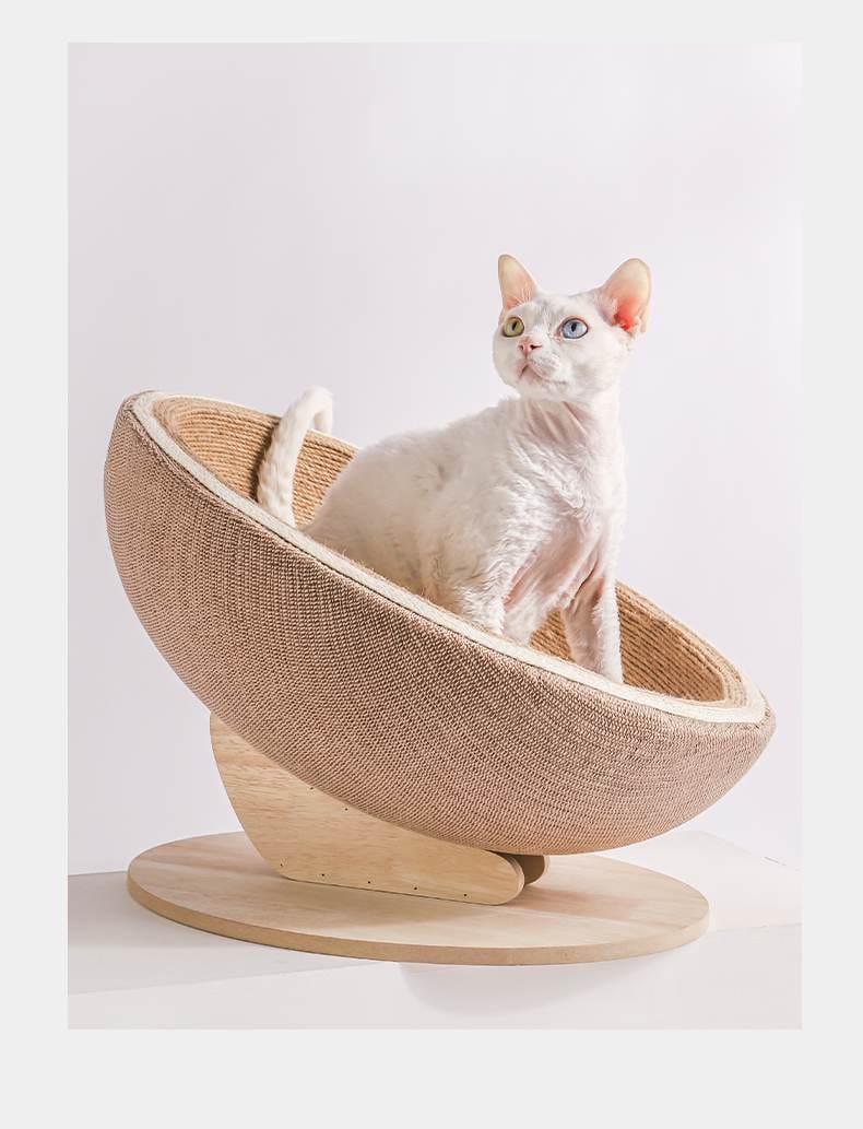 Egg shell Cat Scratching nest
