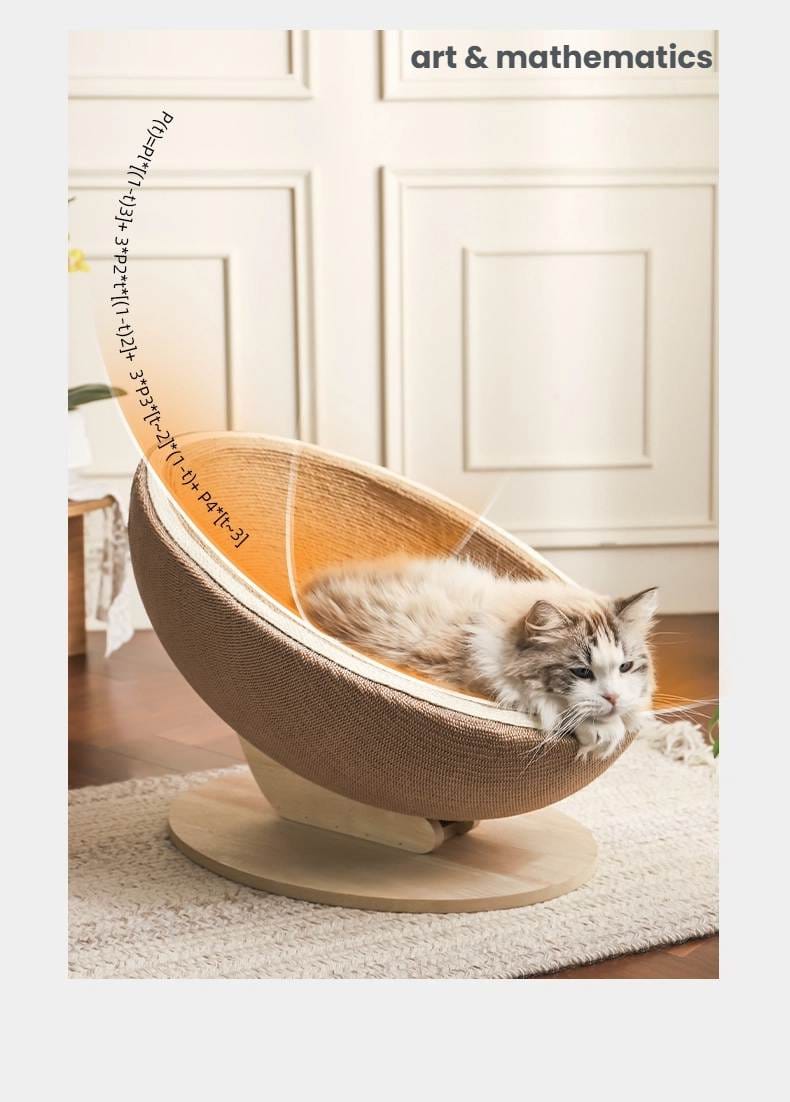 Egg shell Cat Scratching nest