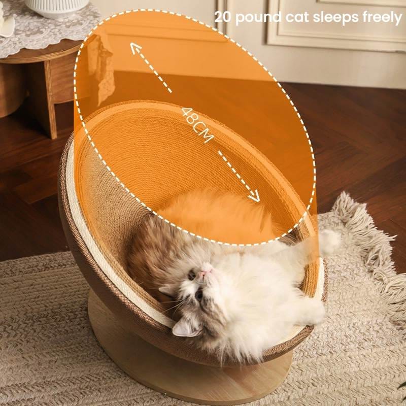 Egg shell Cat Scratching nest