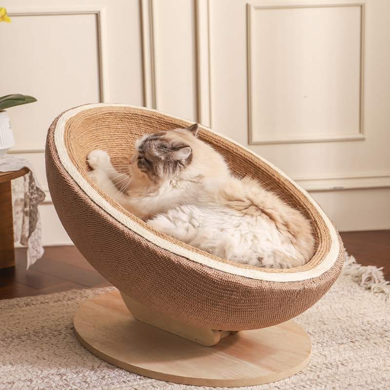 Egg shell Cat Scratching nest