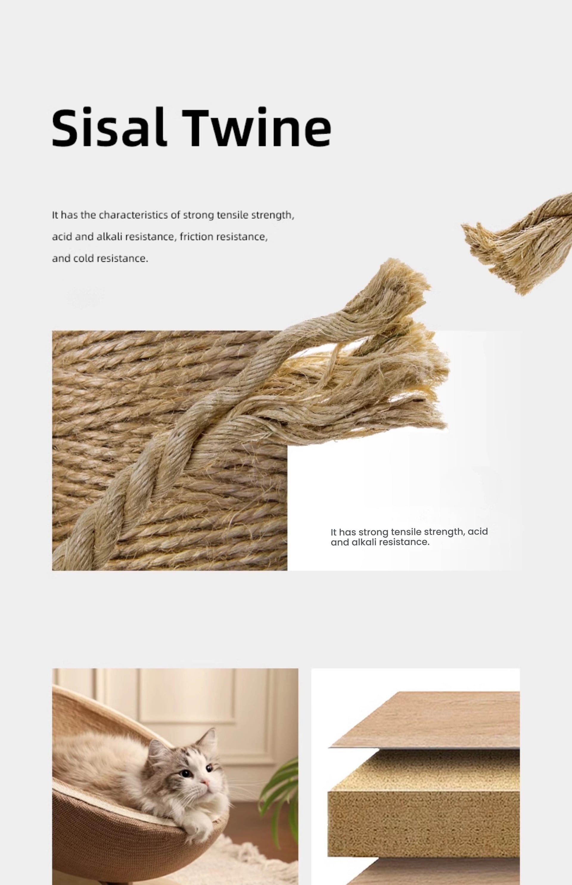 Egg shell Cat Scratching nest