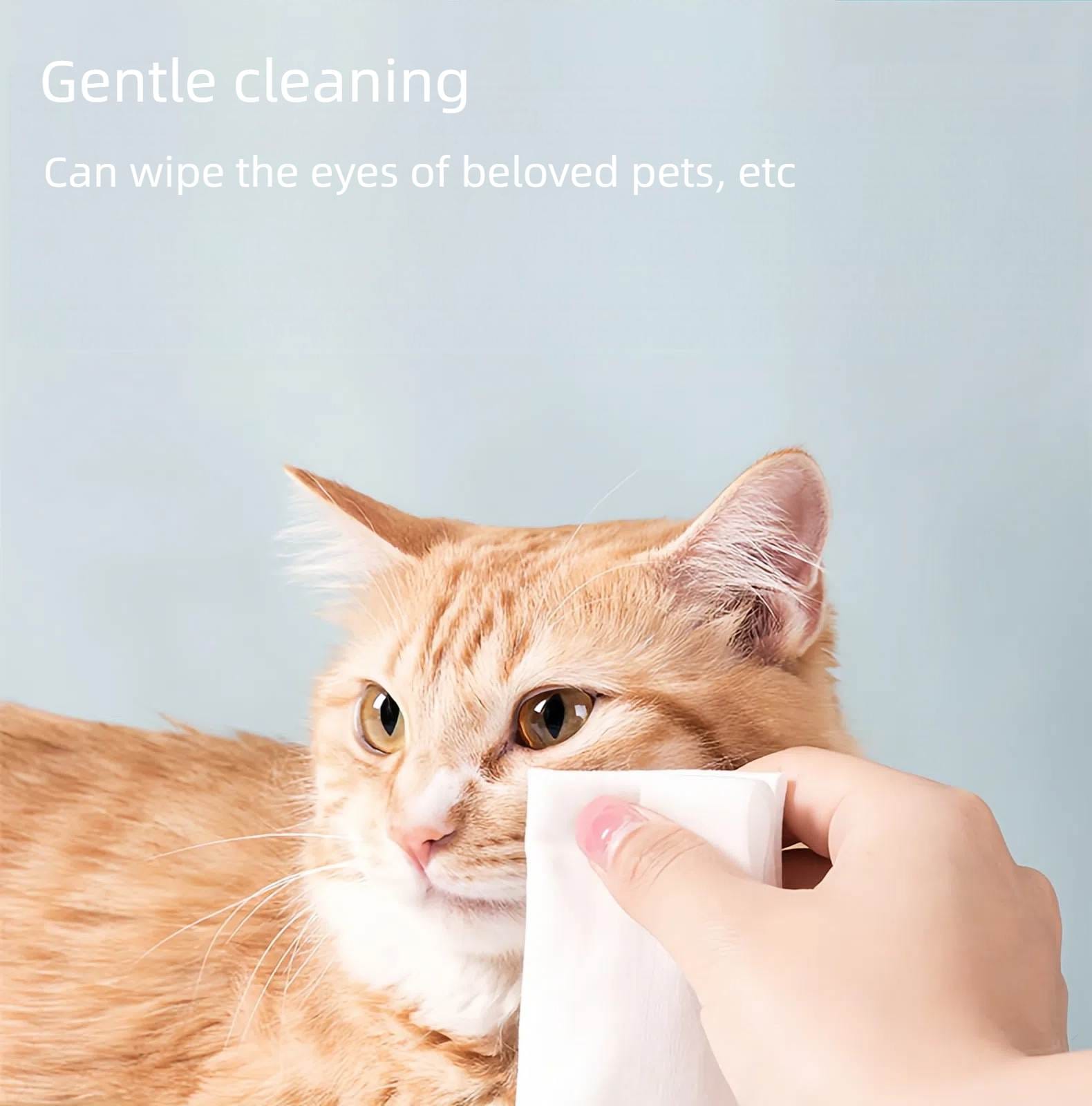 Pet Wet Wipes